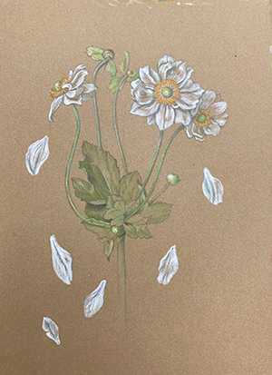 Flower drawing from Sam McWilliams